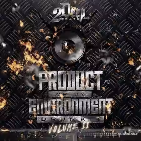 2DEEP Product Of My Environment Vol.2 [WAV]