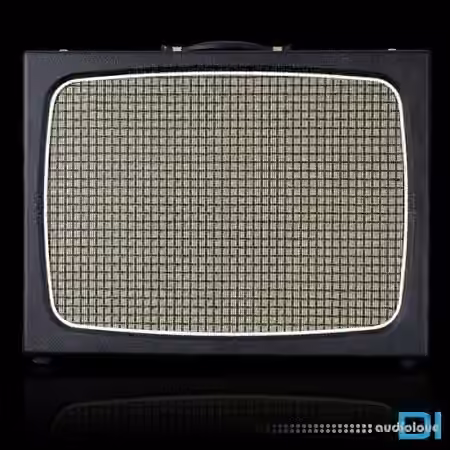 Amalgam Audio BRTL RLAND NAM Essential DI [Synth Presets]