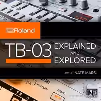 Ask Video Roland Boutique 104 TB-03 Explained and Explored [TUTORiAL]