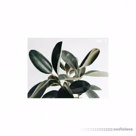 Austin Marc Drum Kit Vol.1 [WAV]