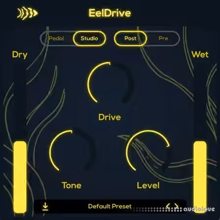 CodWaves EelDrive v1.0.0 [WiN]