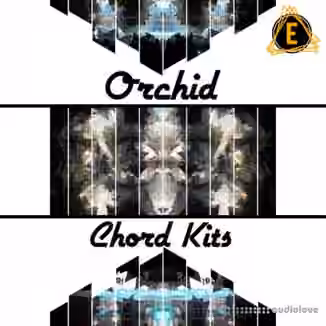 Electronisounds Orchid Chord Kits [WAV]