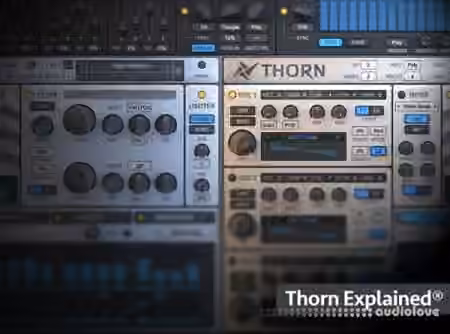 Groove3 Thorn Explained [TUTORiAL]