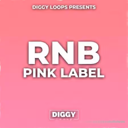HOOKSHOW RnB Pink Label [WAV]