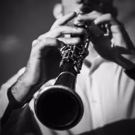 Imaginando FRMS Sounds Of Clarinet [Synth Presets]