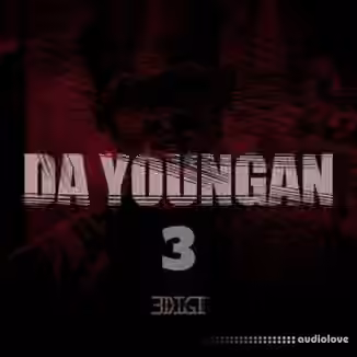Innovative Samples Da Youngan 3 [WAV]