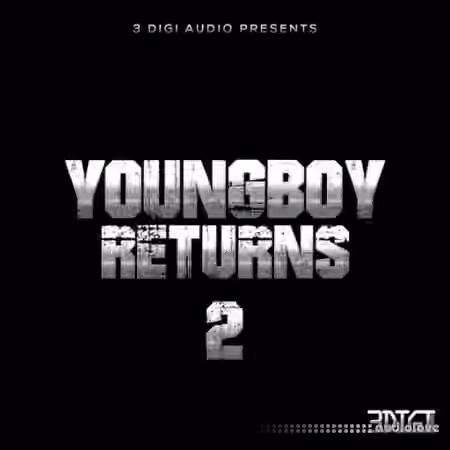 Innovative Samples YungBoy Returns 2 [WAV]