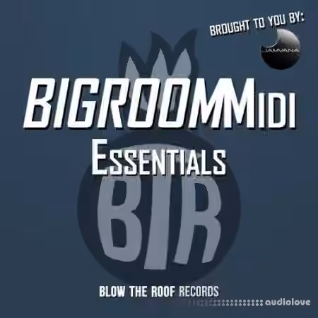 Jamvana Bigroom Midi Essentials [WAV, MiDi]