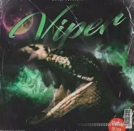 Nashi Viper Drum Kit [WAV, MiDi, Synth Presets]