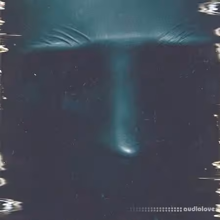 Noiiz Nicolo Sommer Obscure Organisms [WAV]