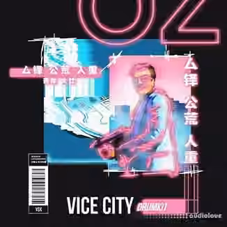 OZ Vice City Kit [WAV, Synth Presets, DAW Presets]
