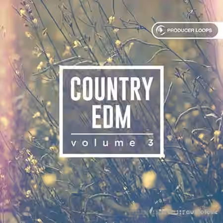 Producer Loops Country EDM Vol.3 [MULTiFORMAT]