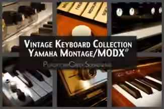 PurgatoryCreek Soundware Vintage Keyboard Collection Montage MODX [Synth Presets]