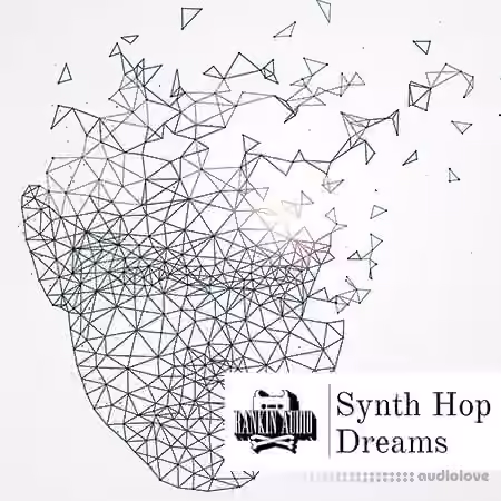 Rankin Audio Synth Hop Dreams [WAV]