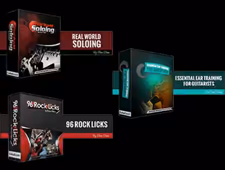 Real World Soloing, 96 Rock Licks, Ear Training with Steve Stein and Dan Denley (2016) [TUTORiAL]
