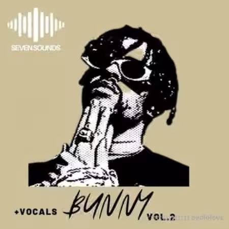Seven Sounds Bunny Volume 2 [WAV, MiDi]