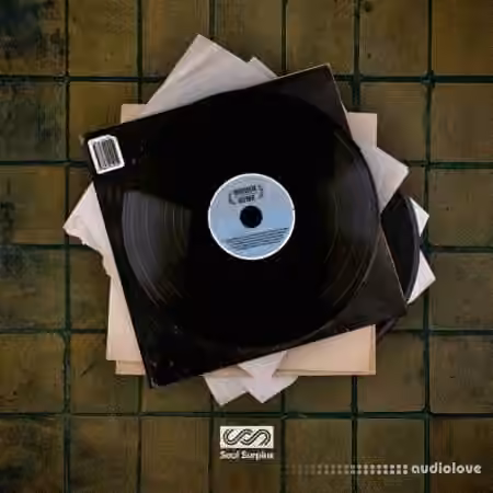 Soul Surplus Hidden Gems [WAV]