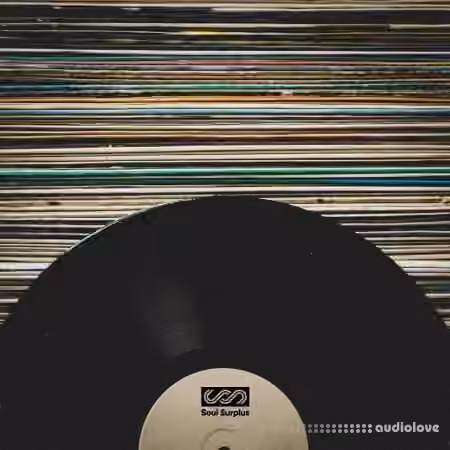 Soul Surplus Vinyl Melodics [WAV]