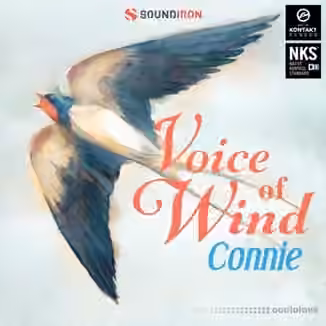 Soundiron Voice of Wind: Connie v1.0 [KONTAKT]