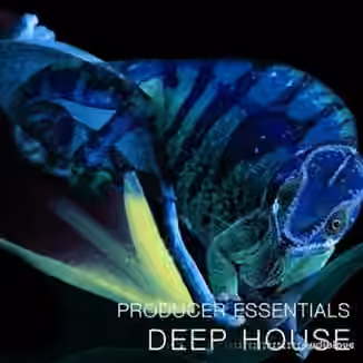 SPF Samplers Producer Essentials Deep House [WAV, MiDi, Synth Presets]
