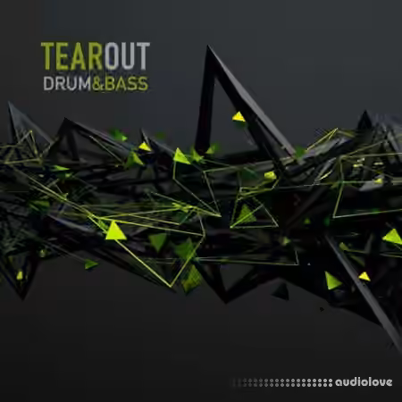 Taelimb Tearout DnB [WAV, Sampler Patches]