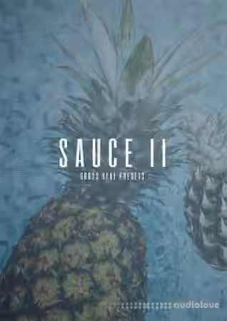 The Kit Plug Sauce II (Gross Beat Presets) [DAW Templates]