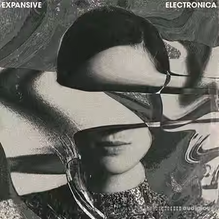 Touch Loops Expansive Electronica [WAV]