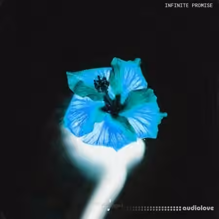 Touch Loops Infinite Promise [WAV]