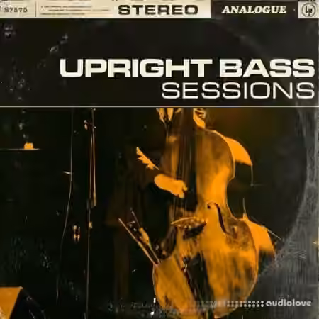 Touch Loops Upright Bass Sessions [WAV]
